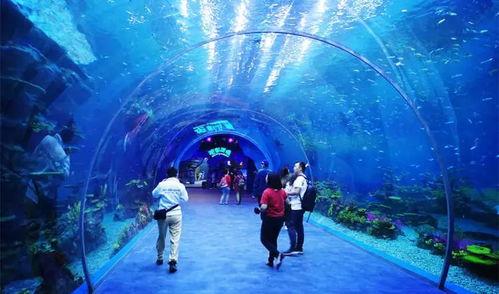 海洋最新爆料视频播放下载,最新海洋爆料视频下载解析 第2张 海洋最新爆料视频播放下载,最新海洋爆料视频下载解析 第2张