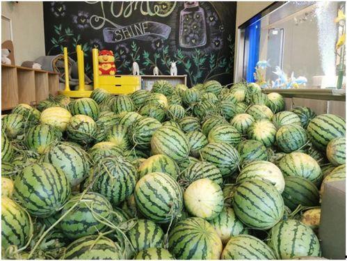 莱州今日吃瓜爆料视频  第3张